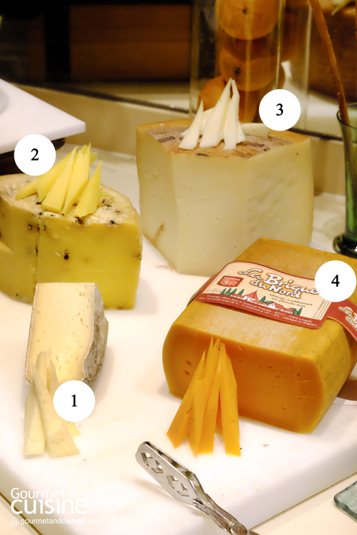 Cheese Tasting