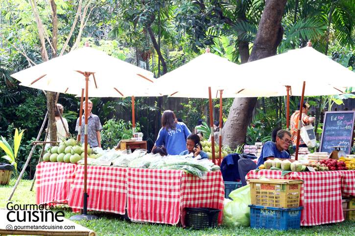 Organic Farmers' Market