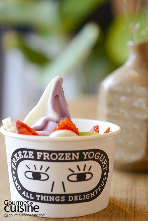 Freeze Frozen Yogurt