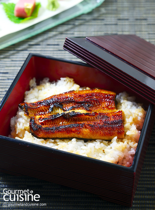 Fresh eel grilled kabayaki 