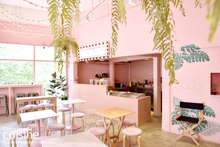 Pinkplanter X Bonca Café