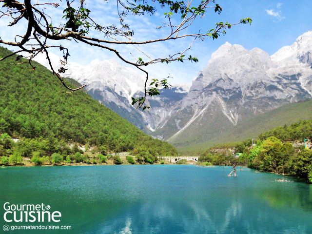 Jade Dragon Snow Mountain