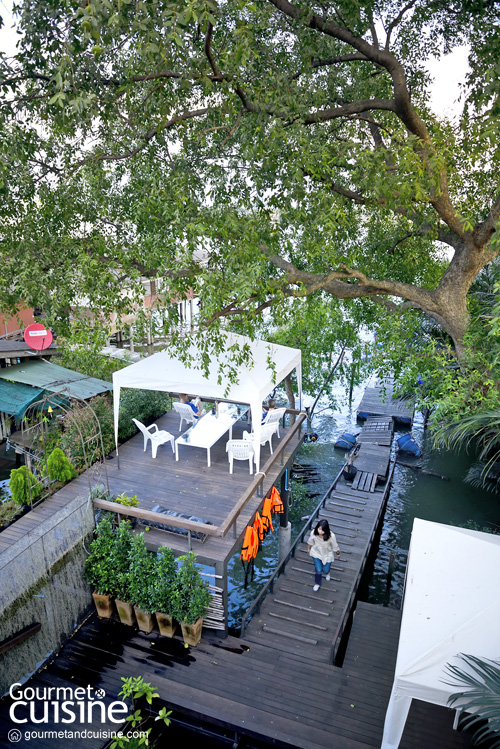 Bangkok Tree House