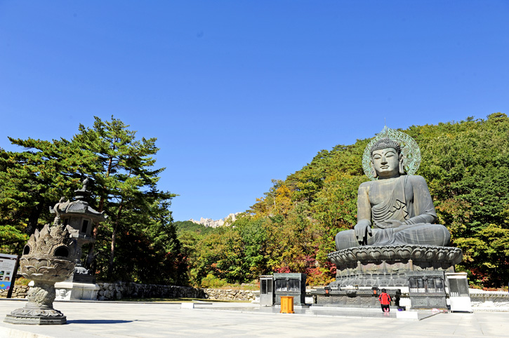 อลังการล้านสีสันวันใบไม้เปลี่ยนสีที่ Korea