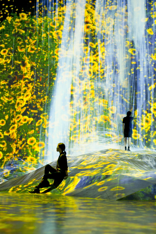 teamLab Borderless