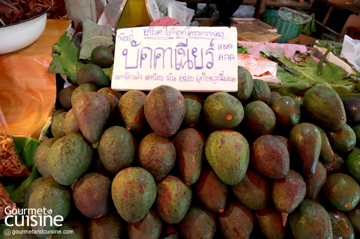 “ตาก” เมืองแสนสงบที่แอบซ่อนความ (เที่ยว) สนุกและ (กิน) อร่อย