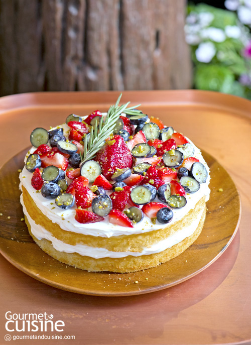 The Forest Wanderer Cake : Forest Bake