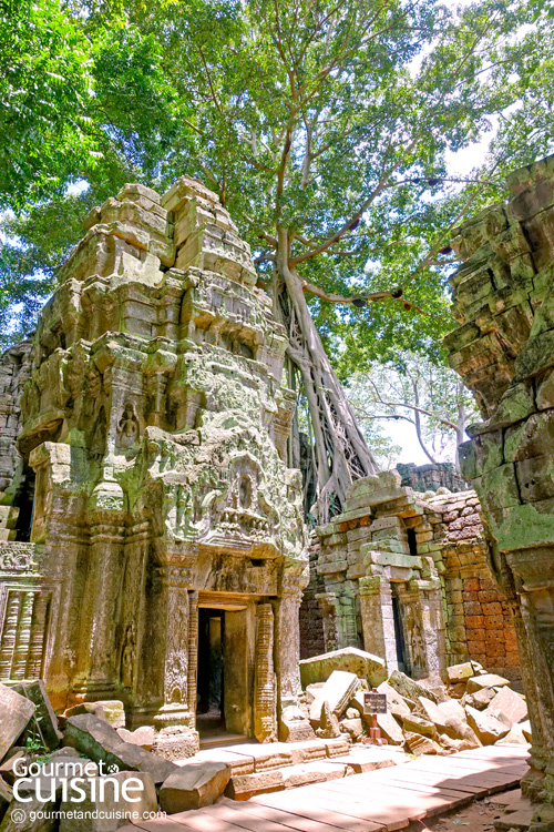 Siem Reap Moments 3 วันในเสียมราฐ