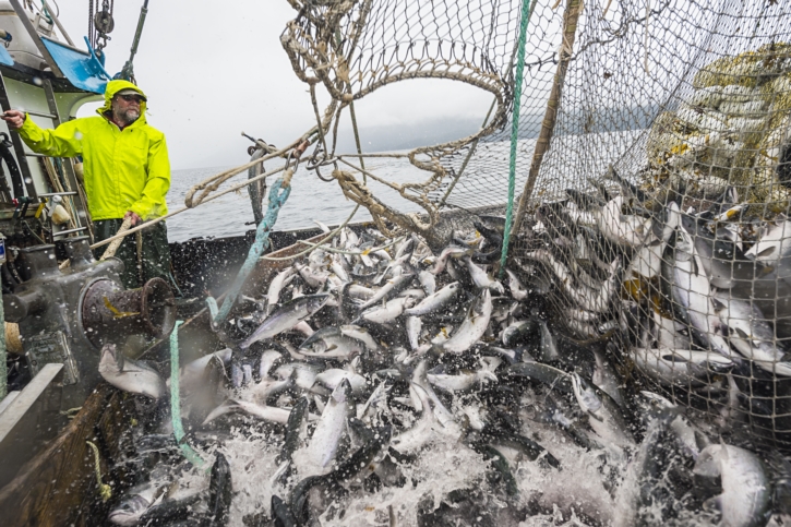 Alaska Seafood