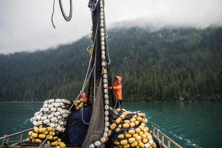 Alaska Seafood