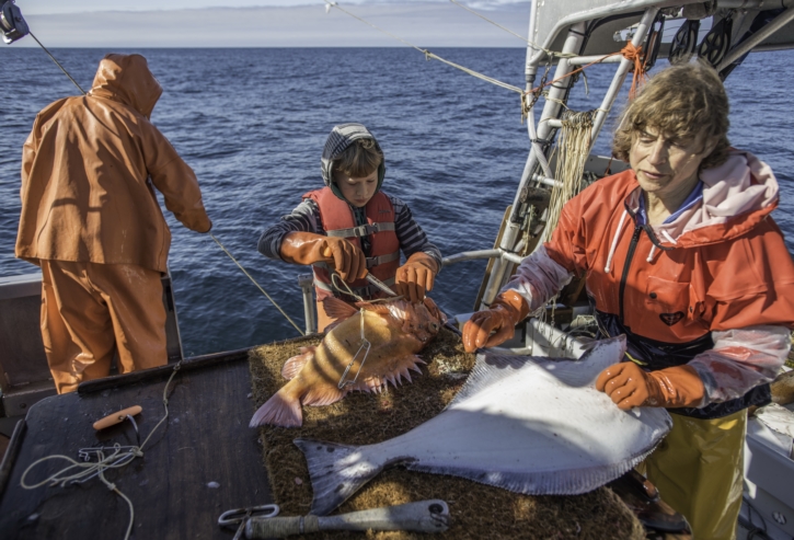 Alaska Seafood