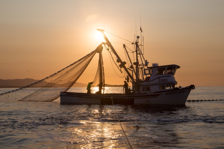 Alaska Seafood