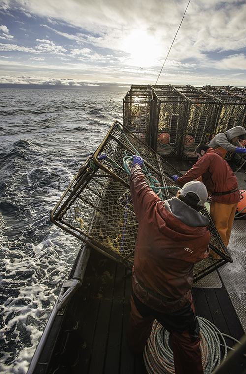 Secrets of Alaska king Crab   : 5 ความลับฉบับ “ปูอลาสก้า”