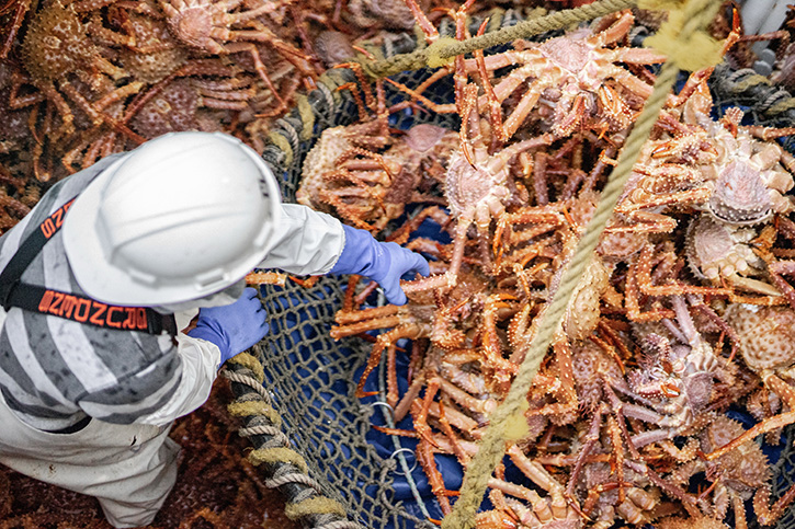 Secrets of Alaska king Crab   : 5 ความลับฉบับ “ปูอลาสก้า”