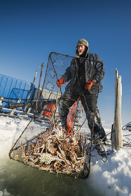 Secrets of Alaska king Crab   : 5 ความลับฉบับ “ปูอลาสก้า”