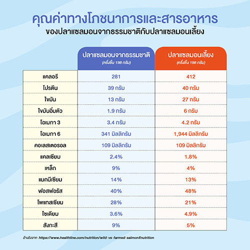 ปลาแซลมอนจากธรรมชาติ (Wild Caught Salmon) กับปลาแซลมอนเลี้ยง (Farm Raised Salmon) : อย่างไหนดีต่อสุขภาพมากกว่ากัน