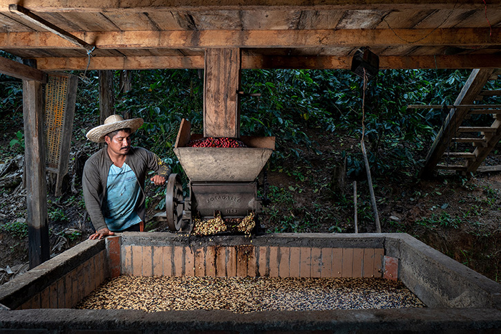 Reviving Origins กาแฟ 3 รสชาติใหม่จาก Nespresso