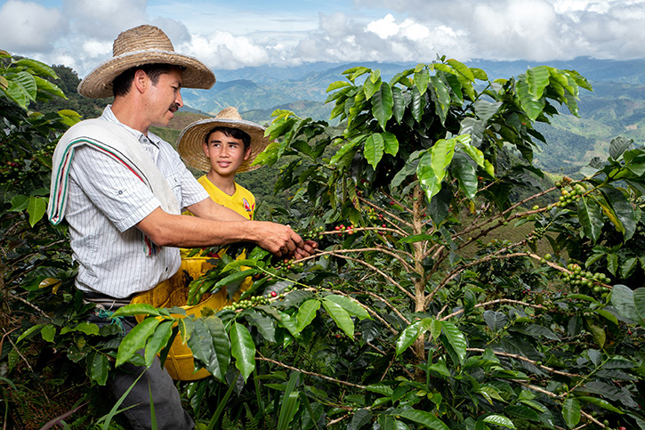 Reviving Origins กาแฟ 3 รสชาติใหม่จาก Nespresso