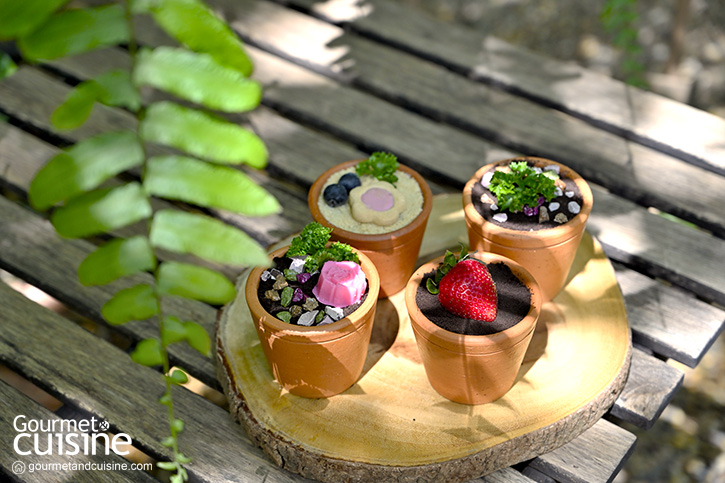 Flowerpot Café คาเฟ่ของคนรักธรรมชาติ