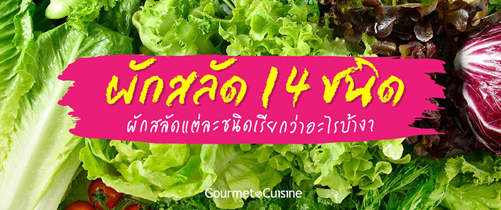 ผักสลัด 14 ชนิด ผักสลัดแต่ละชนิดเรียกว่าอะไรบ้าง?