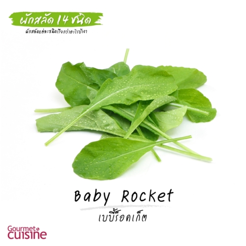 เบบี้ร็อคเก็ต Baby Rocket