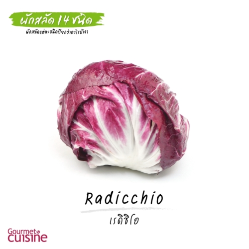 เรดิชิโอ Radicchio