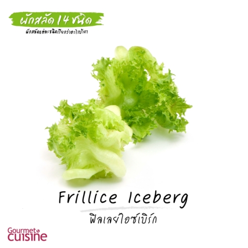 ฟิลเลย์ไอซ์เบิร์ก Frillice Iceberg Lettuce