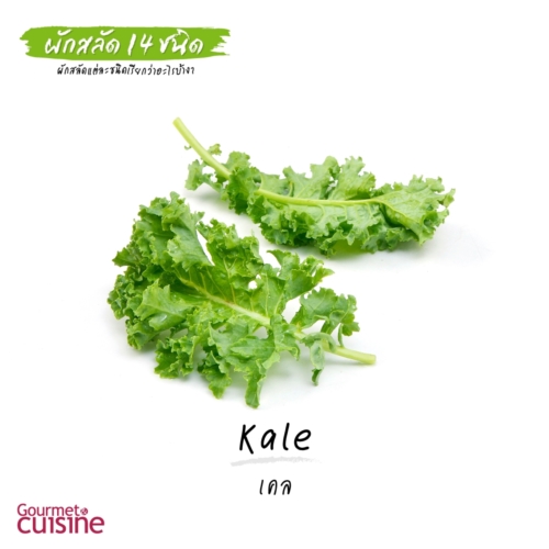 เคล Kale