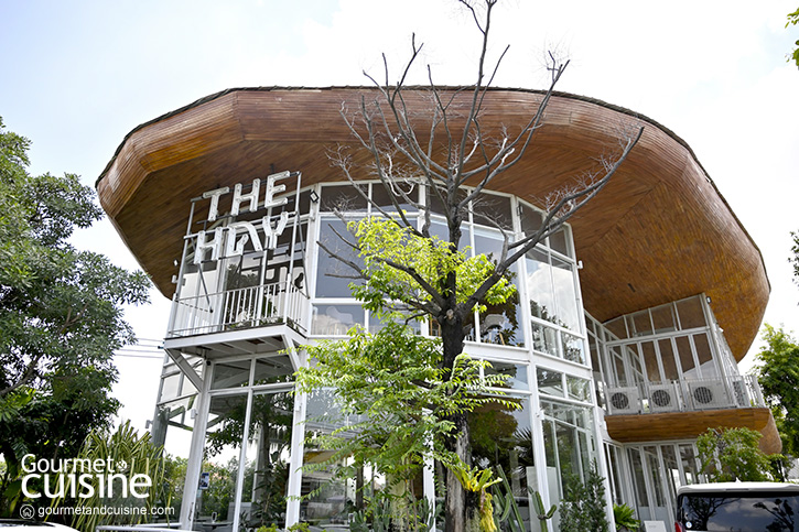 The Hay Equestrian Center & Eatery ขี่ม้าในร้านโปรดของครอบครัว