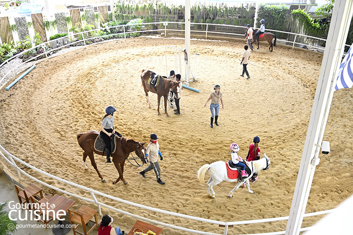 The Hay Equestrian Center & Eatery ขี่ม้าในร้านโปรดของครอบครัว