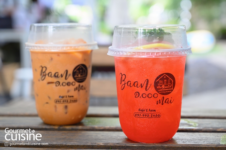 บ้าน ๑,๐๐๐ ไม้ Cafe & Farm คาเฟ่แห่งการให้