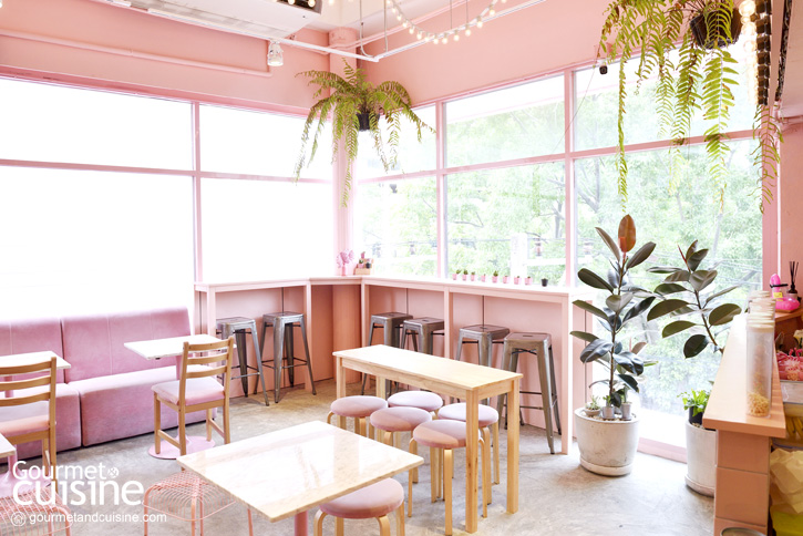 Pinkplanter X Bonca Cafe