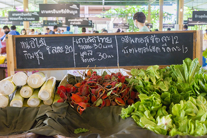 Green Nakhon Pathom กรีนดี อยู่ดี ที่นครปฐม