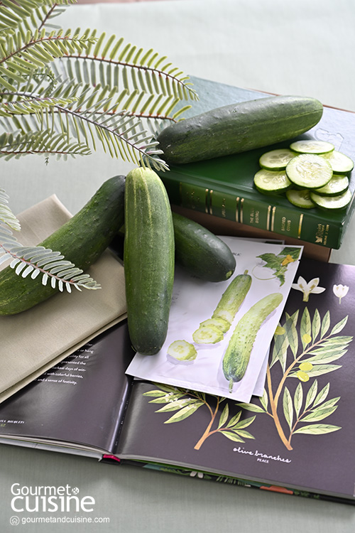 Healthy Cucumber ปาร์ตี้นี้มีประโยชน์ต่อสุขภาพ