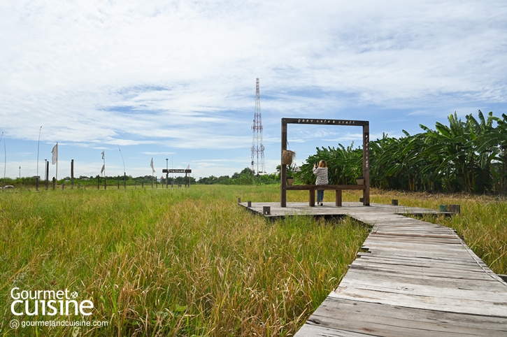 คาเฟ่บรรยากาศดีใกล้ชิดธรรมชาติ ภูดอย Cafe & Craft คลองสามวา