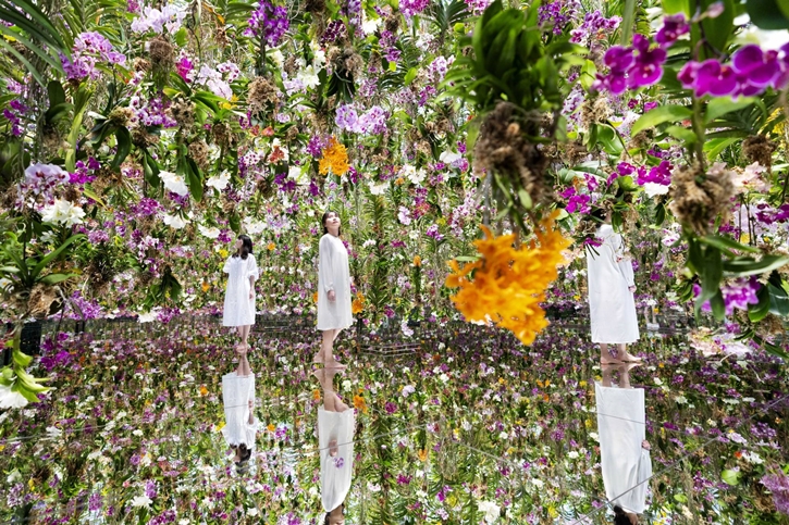 teamLab PLANETS ชวนดำดิ่งไปในสวนสวยกับโซนนิทรรศการใหม่ Garden Area 