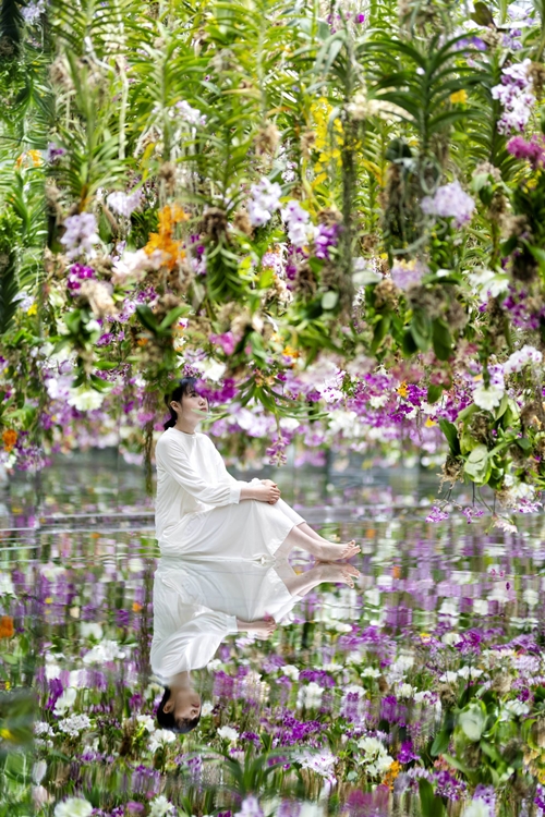 teamLab PLANETS ชวนดำดิ่งไปในสวนสวยกับโซนนิทรรศการใหม่ Garden Area 