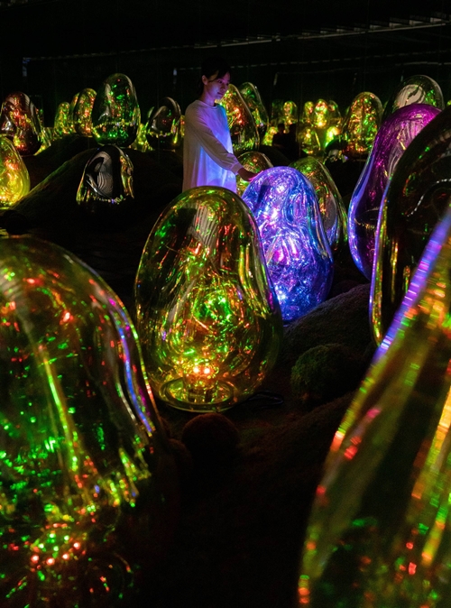 teamLab PLANETS ชวนดำดิ่งไปในสวนสวยกับโซนนิทรรศการใหม่ Garden Area 