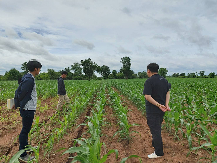 เกษตรกร จับมือ CPF ปลูกข้าวโพดไม่รุกป่า ปลอดเผา สร้างต้นทางห่วงโซ่อาหารที่ยั่งยืนต่อสิ่งแวดล้อมและชุมชน