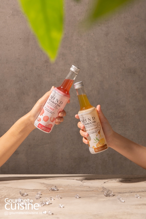 ก้าวสู่ความเป็นผู้นำในตลาดคอมบูชะ โดยผู้ก่อตั้ง Mind Kombucha คุณแอน อัญชลี ลิ้มเล็งเลิศ