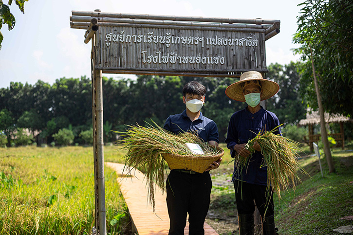 กัลฟ์ โชว์โมเดลศูนย์การเรียนรู้ทางการเกษตร ส่งเสริมไอเดียปลูกข้าวทางเลือกเพื่อสุขภาพ