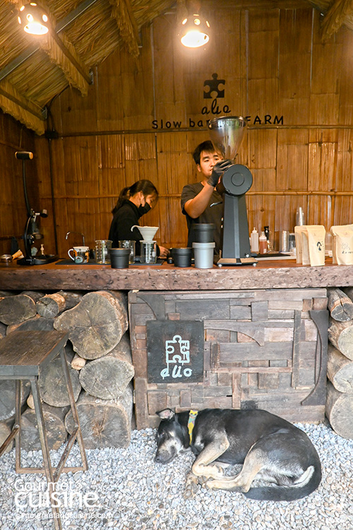 Alio Slow Bar and FARM ร้านกาแฟสโลว์บาร์ท่ามกลางสายหมอกแห่งดอยช้าง จ.เชียงราย 