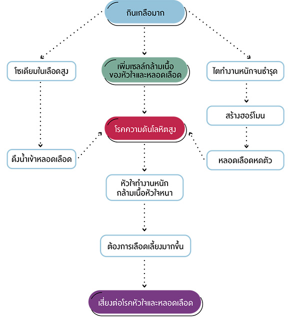 กลไกของโซเดียมกับการเกิดภาวะความดันโลหิตสูง