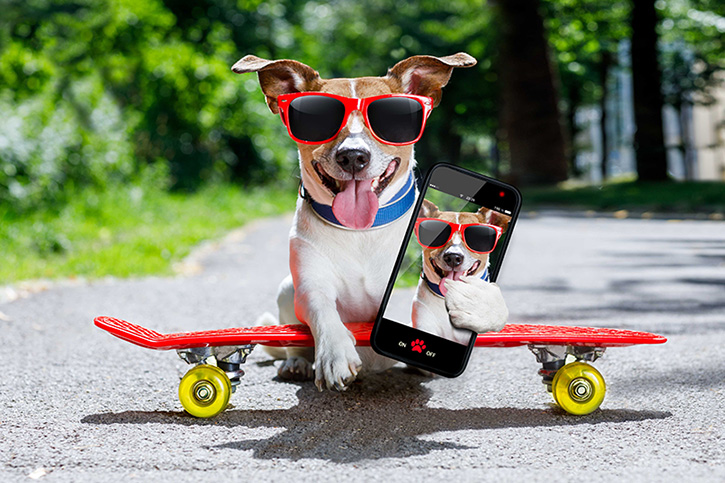 ‘BARKING HAPPY DAY’ ที่ โรงแรมโซ โซฟิเทล หัวหิน