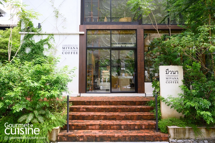 MiVana Coffee Flagship Store ‘มีวนา’ ร้านกาแฟกลาสเฮ้าส์  กับแนวคิดของความยั่งยืนเพื่อเกษตรกรไทย