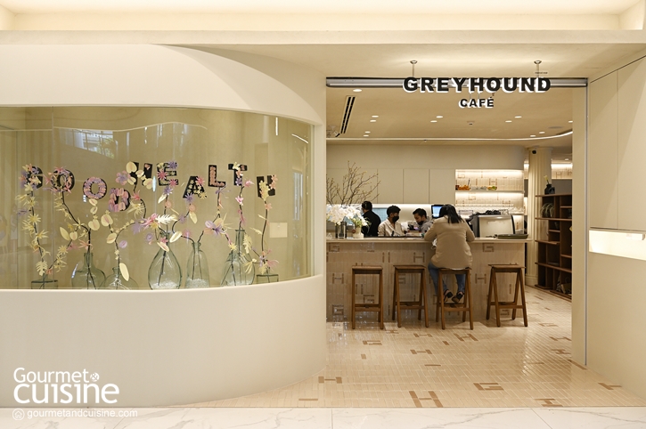 Greyhound Café (MedPark Hospital) เกรฮาวด์สาขาใหม่กับเมนูชวนเจริญอาหารแม้จะอยู่ในโรงพยาบาล