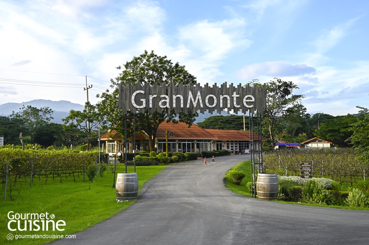 GranMonte Vineyard and Winery ชวนจิบไวน์เที่ยวไร่องุ่นที่เขาใหญ่