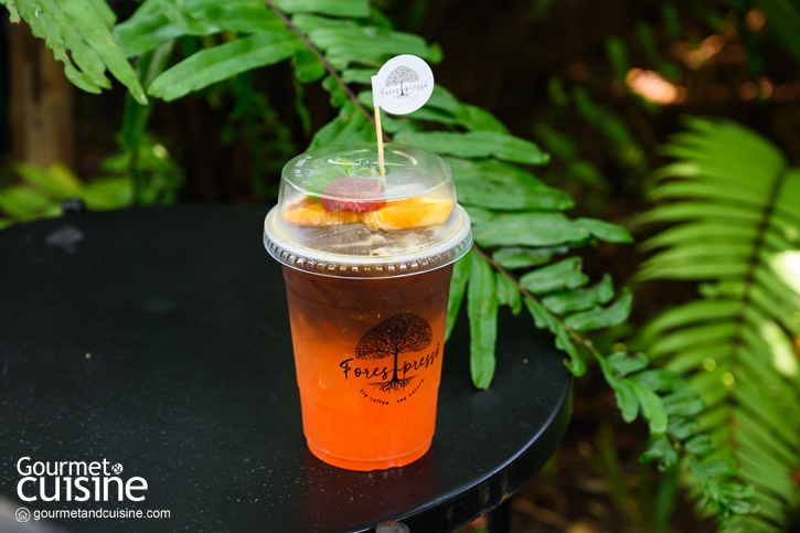 Forestpresso คาเฟ่ที่โอบล้อมด้วยต้นไม้นานาชนิด ชวนใกล้ชิดธรรมชาติ ลาดพร้าว 71