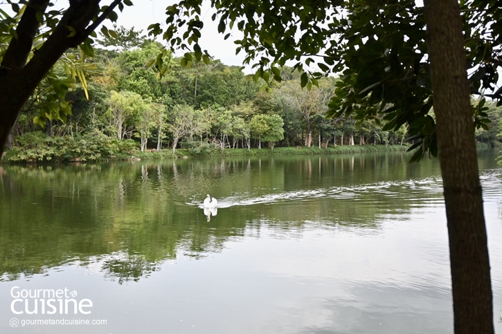 InterContinental Khao Yai Resort คืนนี้ขอนอนบนตู้รถไฟ อาบป่าให้อิ่มใจที่เขาใหญ่