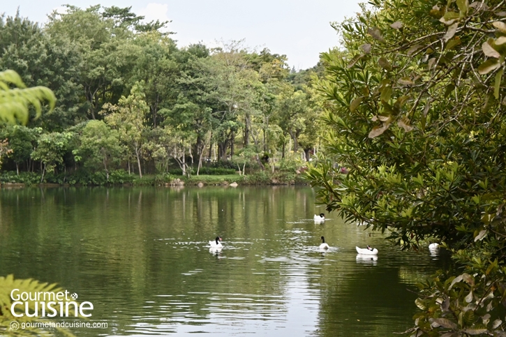 InterContinental Khao Yai Resort คืนนี้ขอนอนบนตู้รถไฟ อาบป่าให้อิ่มใจที่เขาใหญ่